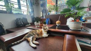 Sena home 3rd-Near Danang Dragon bridge-Han river