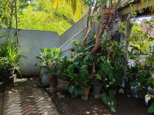 Thaksilu Home