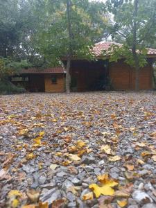 Koliba Dimitrijević