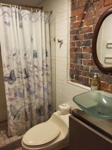 Apartastudio con baño privado y chimenea