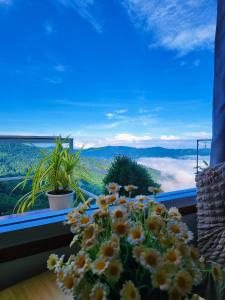 เอวาเเคมป์ ภูชี้ฟ้า Avacamp phuchifa