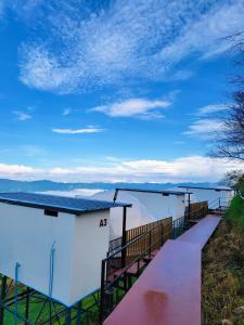 เอวาเเคมป์ ภูชี้ฟ้า Avacamp phuchifa