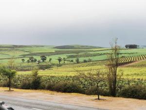 The Blue Horizon House - Botrivier