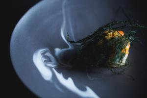 時地人 - JIJIJIN Matsuyama