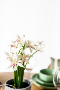 Bright 2BR by Southern Cross with Parking