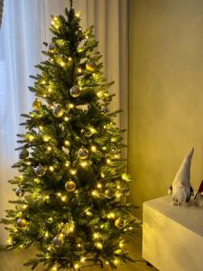 Your Lapland Adventure Base