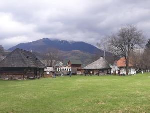 Садиба ,,У Мітріци