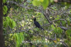 The Corbett Rajae Homestay