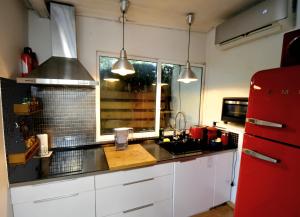 Forest Escape near Barcelona