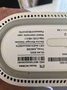 Golden palms meadow view