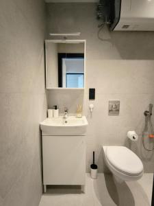 Sova Haus Modern Apartment near Katowice & Stadion Śląski