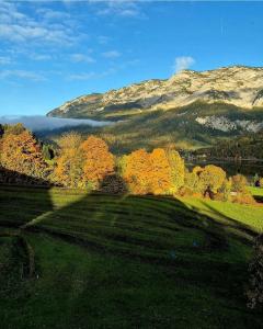 Ferienhaus Romantika