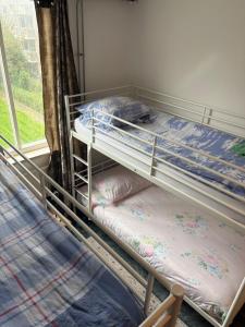 B&B Calypso Amsterdam