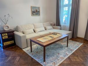 Spacious Supeluse Apartment