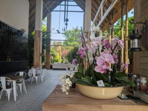 Sunbirds Lodge Chobe