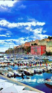 Vue exceptionnelle début Cap Corse La Pier Noire