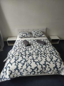 Zizkov Room - City Center Near By