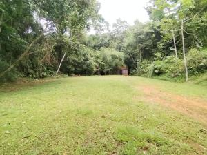 Wildlife Reserve La Ceiba Ecoadventures