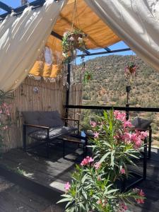 الباحة دومز Al baha Domes