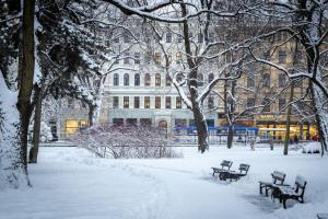 Prime City Centre Studio Apartment with Park View