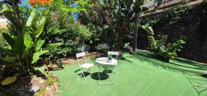 LORO PARQUE PUERTO DE LA CRUZ