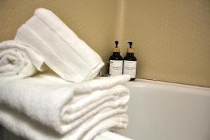 Small studio Parking - Metro B - Lyon Sud Hospital