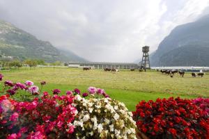 Agriturismo La Grange