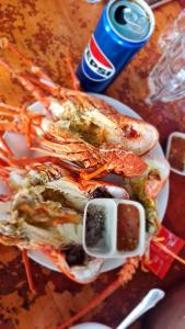 Hoa Nắng Homestay - Đảo Phú Qúy