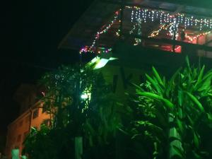 wKd bEach loFts THuNDER bAy orange