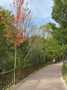 HomeOffice with Church Views