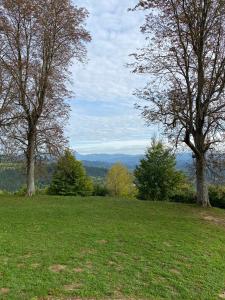 HomeOffice with Church Views