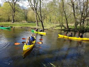 Palac Kursko Agroturystik
