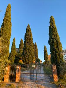 Montagnana Country House - relax and stunning view