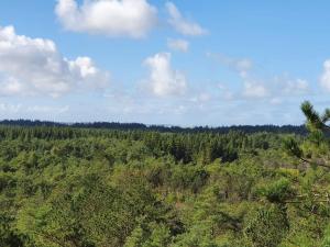 6 person holiday home in Ålbæk-By Traum