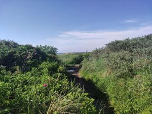 6 person holiday home in Ålbæk-By Traum