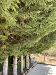 Margarets Guest House