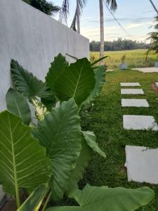 Kusal villa