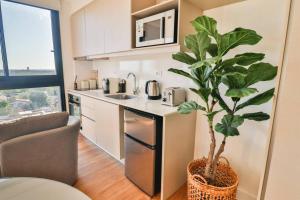 New Studio by Shop del Sol in Prime Location