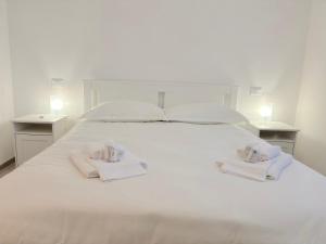 Vicino aeroporto Pisa - Wi-Fi e parcheggio gratuito