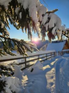 Cabana Lupul din Apuseni