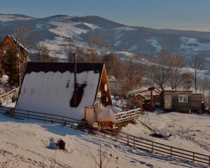 Cabana Lupul din Apuseni