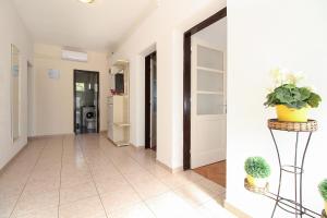Apartment Branka 2411
