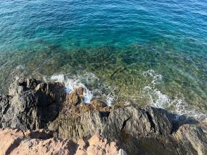 oceanica