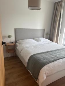 Apartamenty Polanowscy część uzdrowiskowa przy ul Kołłątaja Parking w cenie