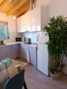 Quintal do Olival- Um refúgio na Natureza