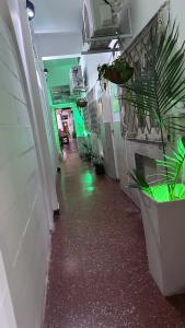 Hospedaje Artigas - Silvia Borda