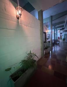 Hospedaje Artigas - Silvia Borda