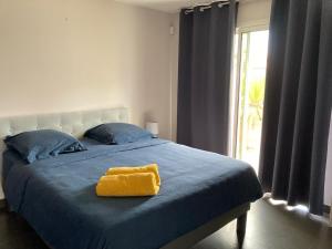 Beautiful Villa, 8p, comfort, quiet, beaches and center