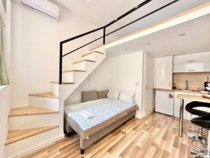 C24 Dorka Mini Studio