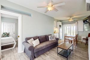 Lost Colony Lost Sea Turtle